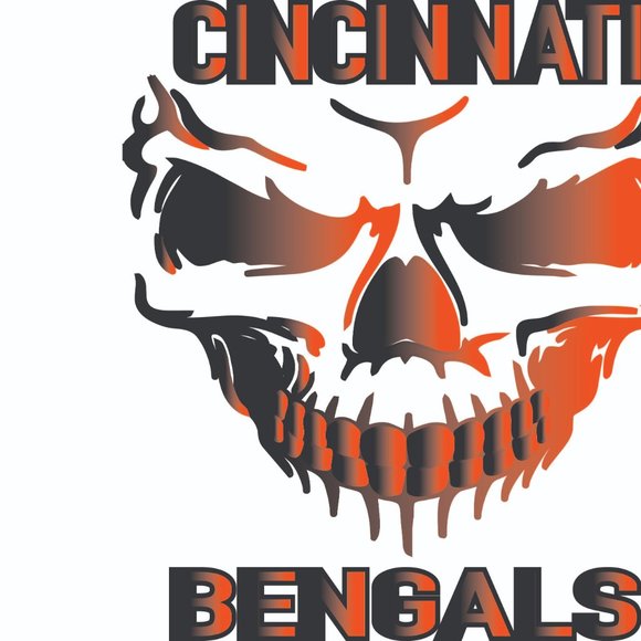 Cincinnati Bengals - Picture 2 of 3